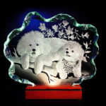 Bichon Frise 24in Illuminate