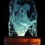 Koala-20in- illuminated $350.