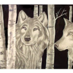 Wolve 10- aspen trees $1500.