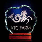 XTC  Ranch logo $250.